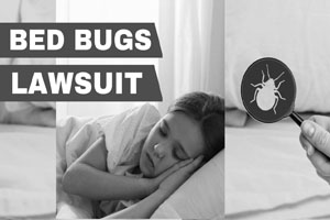 bed bugs treatment in sharjah