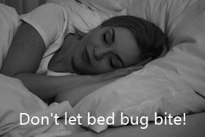pest control bed bug treatment